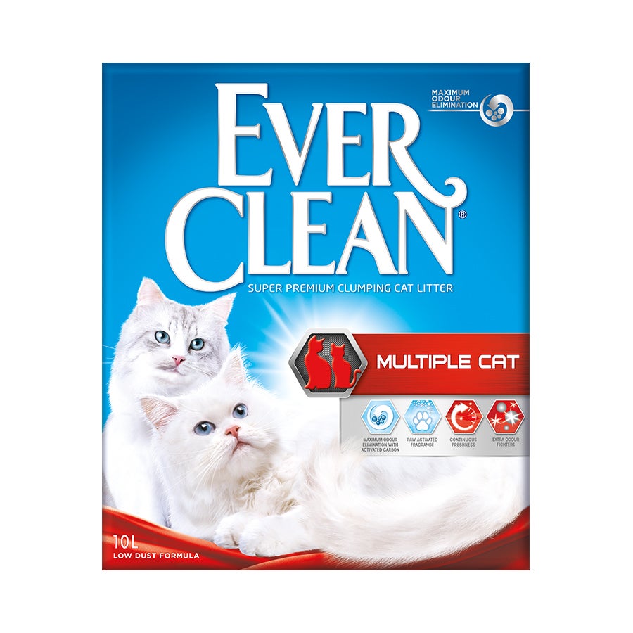 Ever 2025 clean cat